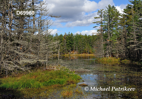 Algonquin Provincial Park, Ontario